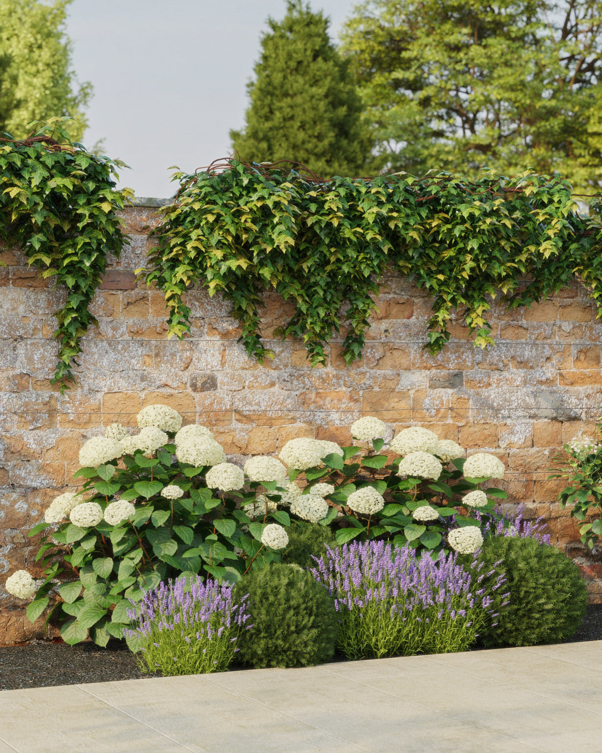 products/SOTOClassicProduct-ViewB-Sun2mWide.jpg